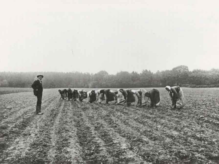 Roepigerne med deres Aufseher.